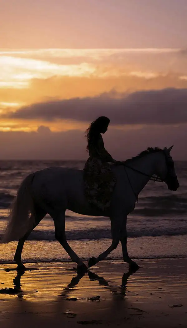 Horseback routes through surprising natural landscapes